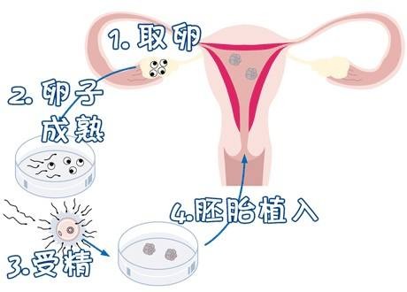 青瓷医疗